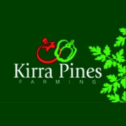 Kirra Pines