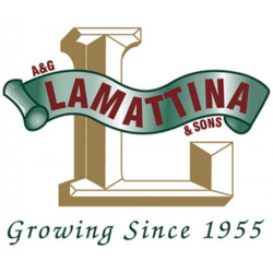 A&G Lamattina & Sons logo