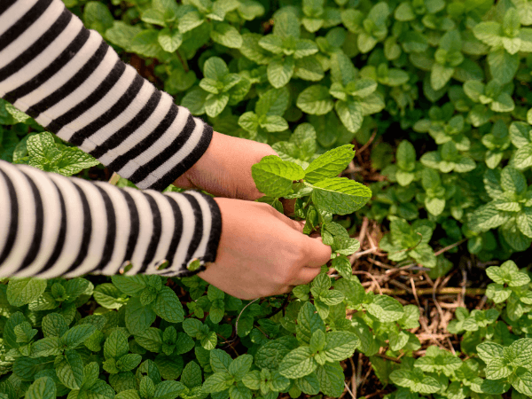 Sustainability is at the heart of everything we do